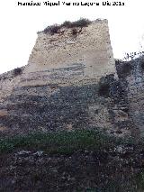 Castillo Viejo de Santa Catalina. Torren de Tapial. 