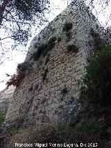 Castillo de Abrehuy. Torren del Patio III. 