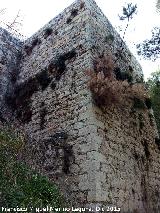 Castillo de Abrehuy. Torren del Patio III. 