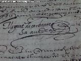 Archivo Histrico Provincial. Firma de Miguel de Cervantes. Archivo Histrico de Jan