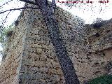 Castillo de Abrehuy. Torren Sur I. 