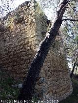 Castillo de Abrehuy. Torren Sur I. 