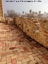 Castillo de Lopera. Alczar. Azotea sur