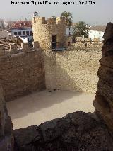 Castillo de Lopera. Torren Oeste. Desde la azotea norte del Alczar