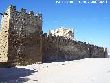 Castillo de Lopera. Puerta Trasera. 