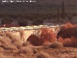 Puente de las Cabras. 