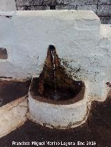 Fuente de las Cuevas de Ambrosio. Fuente