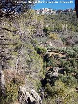 Cortijo de la Loma del Guijarrn. 