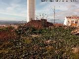 Castillo de Jabalquinto. Solar