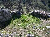 Castillo de Otiar. Torren Oeste. Azotea