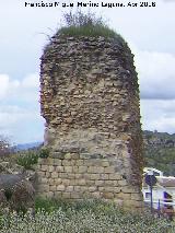 La Mota. Torren de Santo Domingo VI. 