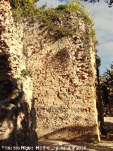 La Mota. Torren de Santo Domingo VIII. 