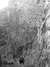 Salto de la Cabra. Foto tomada hacia 1915 aprox. por el Dr. Eduardo Arroyo en el, por entonces, recin construido camino de la Dehesa de Propios a Santa Cristina a la altura del Salto de la Cabra