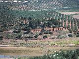 Cortijo del Cerrillo. 