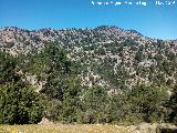 Los Torcadillos. Desde el Cortijo Pardales