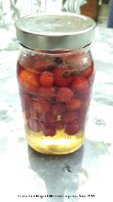 Madroo - Arbutus unedo. Macerando licor de madroos