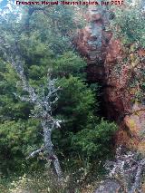 Pinturas rupestres del Abrigo del Hornillo I. Cueva tapada por el enebro