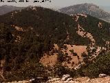 Cerro del Plpito. 