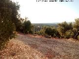 Cerro Morrn. Vistas hacia el Cortijo San Eloy