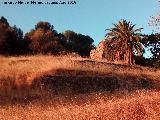 Cortijo Poyatos. 