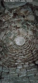 Caracol Filsofo. Bveda