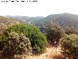 Mirador del Barranco de la Estacin. Vistas