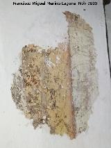 Ermita de San Torcuato. Restos de frescos