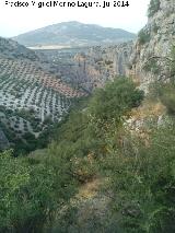 Can del Quiebrajano. Desde las paredes del Veleta