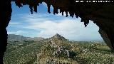 Pinturas rupestres de la Cueva de los Molinos. 