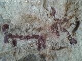 Pinturas rupestres de la Cueva de los Molinos. 