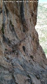 Pinturas rupestres de la Cueva de los Molinos. Poyo del abrigo derecho