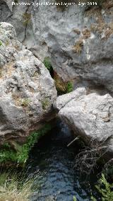 Aguascebas Grande. Aguas abajo del Molino de la Parra