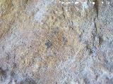 Pinturas rupestres de la Cueva de las Fras. Puntos
