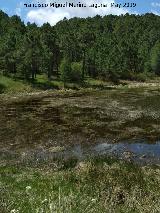 Laguna de Orcera. 