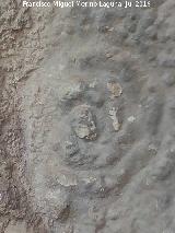 Pinturas y petroglifos rupestres de la Cueva del Encajero. Petroglifo de crculos concentricos