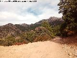 Cordel del Chorro a la Atalaya. 