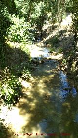 Ro Caamares. A su paso por el Molino Gris