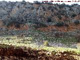 Muros de El Toril. Muros y al fondo las gradas de El Toril