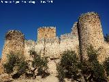 Castillo de la Aragonesa. 