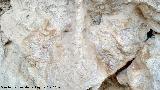 Pinturas rupestres y petroglifos Cueva del Clarillo. Manchas superiores del grupo 5