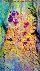 Pinturas rupestres y petroglifos Cueva del Clarillo. Tratada con Dstretch