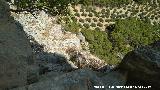 Pinturas rupestres y petroglifos Cueva del Clarillo. Altura desde la ltima trepada