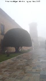 Hospital de Santiago. Laurel. Con niebla