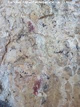 Pinturas rupestres del Abrigo del Puerto. Manchas de la izquierda