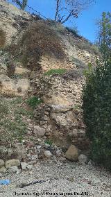 Torre�n de Saludeja IV. 