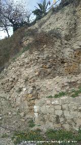 Torre�n de Saludeja IV. 