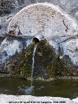 Fuente del Perdy. Ca�o