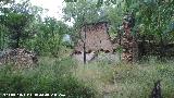 Aldea Casicas del Ro Segura. Casas en ruinas en su antigua ubicacin