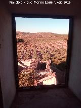 Castillo de Castil. Vistas