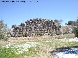 Oppidum del Cerro Miguelico. Muralla ciclopea